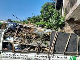Best Construction Debris Removal  in Edgewater, NJ